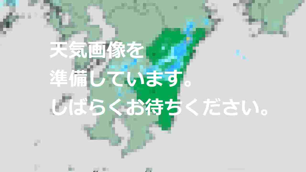 花粉情報